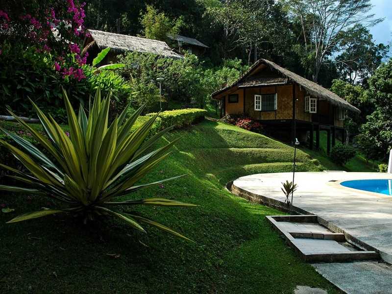 ¡Empieza a preparar tu jardín para que esté a punto este verano! 