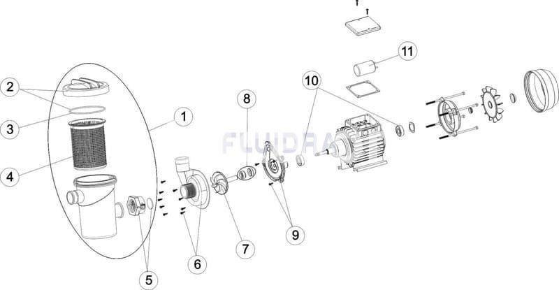 Bomba fiji 4, motor + prefiltro potencia 180W para depuradora gre modelo FA6030/6040/6050 y FS300 - Imagen 2