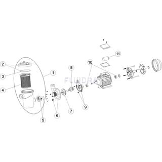 Bomba fiji 6 potencia 230W para depuradora gre modelo FA6070 y FS400. - Imagen 2