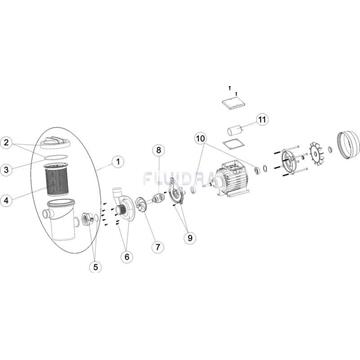 Cierre mecanico Bombas fiji de gre - Imagen 2