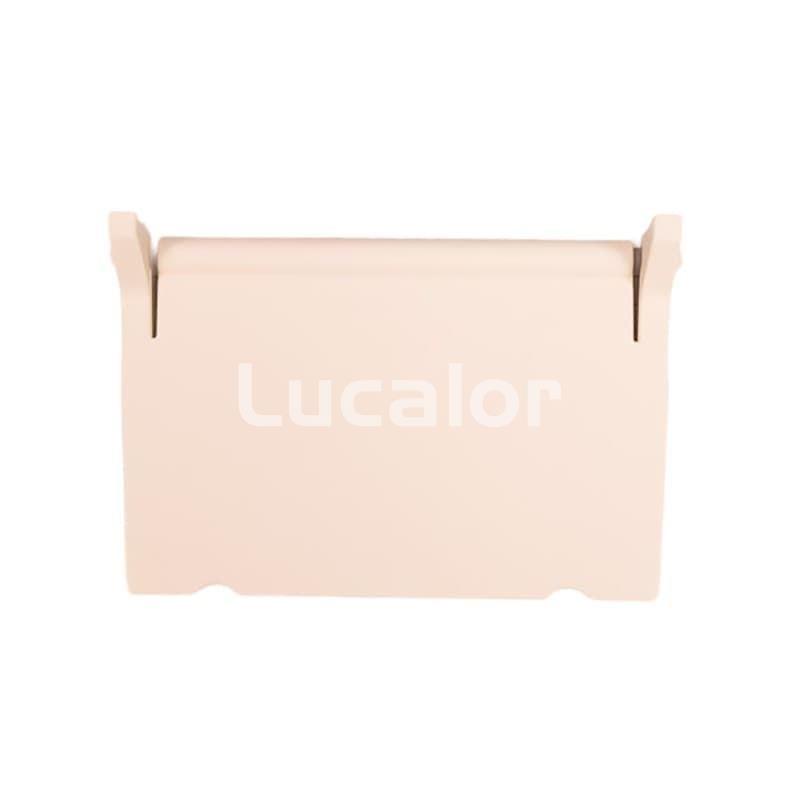 Compuerta skimmer con clip AstralPool - Imagen 2