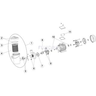 Condensador bonbas fiji6  - 6 µF - Imagen 2
