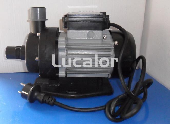 Conjunto bomba/motor 200 W depuradora FAE 300 - Imagen 1