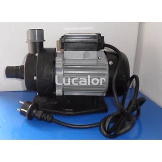 Conjunto bomba/motor 200 W depuradora FAE 300 - Imagen 1
