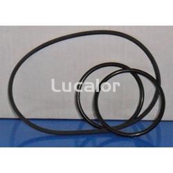 Conjunto juntas para bombas gre serie PP100-PP150-PP200 - Imagen 1