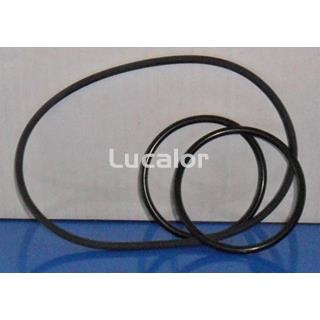 Conjunto juntas para bombas gre serie PP100-PP150-PP200 - Imagen 1