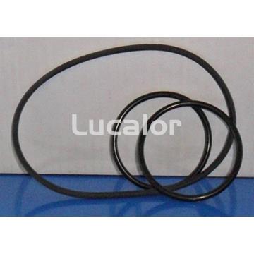 Conjunto juntas para bombas gre serie PP100-PP150-PP200 - Imagen 1