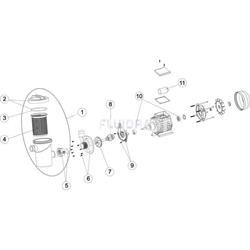 Cuerpo bomba gre fiji 4 FSNP depuradora FS250NP/FS300/FS320 - Imagen 2