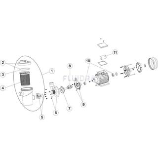 Cuerpo bombas fiji de gre para bomba con prefiltro - Imagen 2