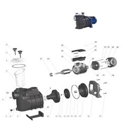 Cuerpo intermedio bomba bravia, de Qp - Imagen 2
