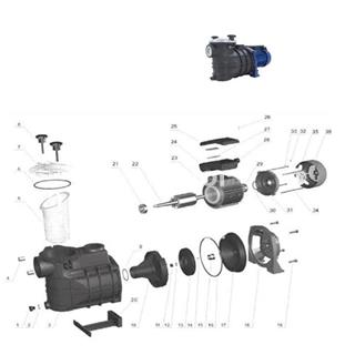 Cuerpo intermedio bomba bravia, de Qp - Imagen 2