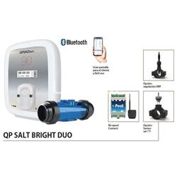 Electrolisis Qp Salt Bright Duo de 13gr/h a 34gr/h - Imagen 1