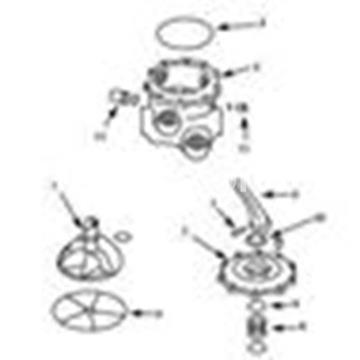 Enlace recto a filtro  de 1-1/2" y 2" - Imagen 2