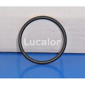 Junta conexión entrada salida bombas PP030-PP050-PP075 - Imagen 1