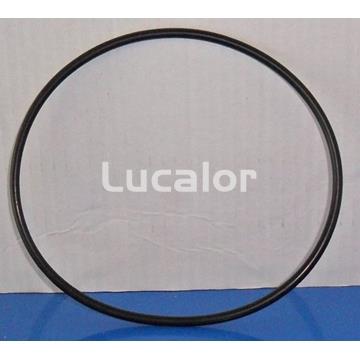 Junta cuerpo intermedio bomba bravia de Qp - Imagen 1