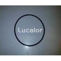 Junta prefiltro filtros fiji para bombas fiji de gre con prefiltro - Imagen 1