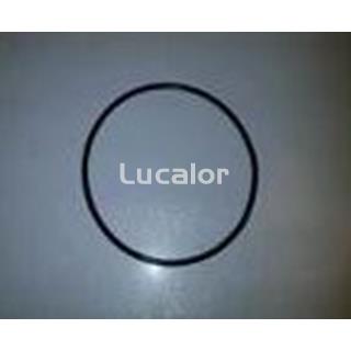 Junta prefiltro filtros fiji para bombas fiji de gre con prefiltro - Imagen 1