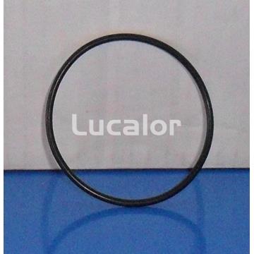 Junta recor conexión impulsión bombas compac - Imagen 1