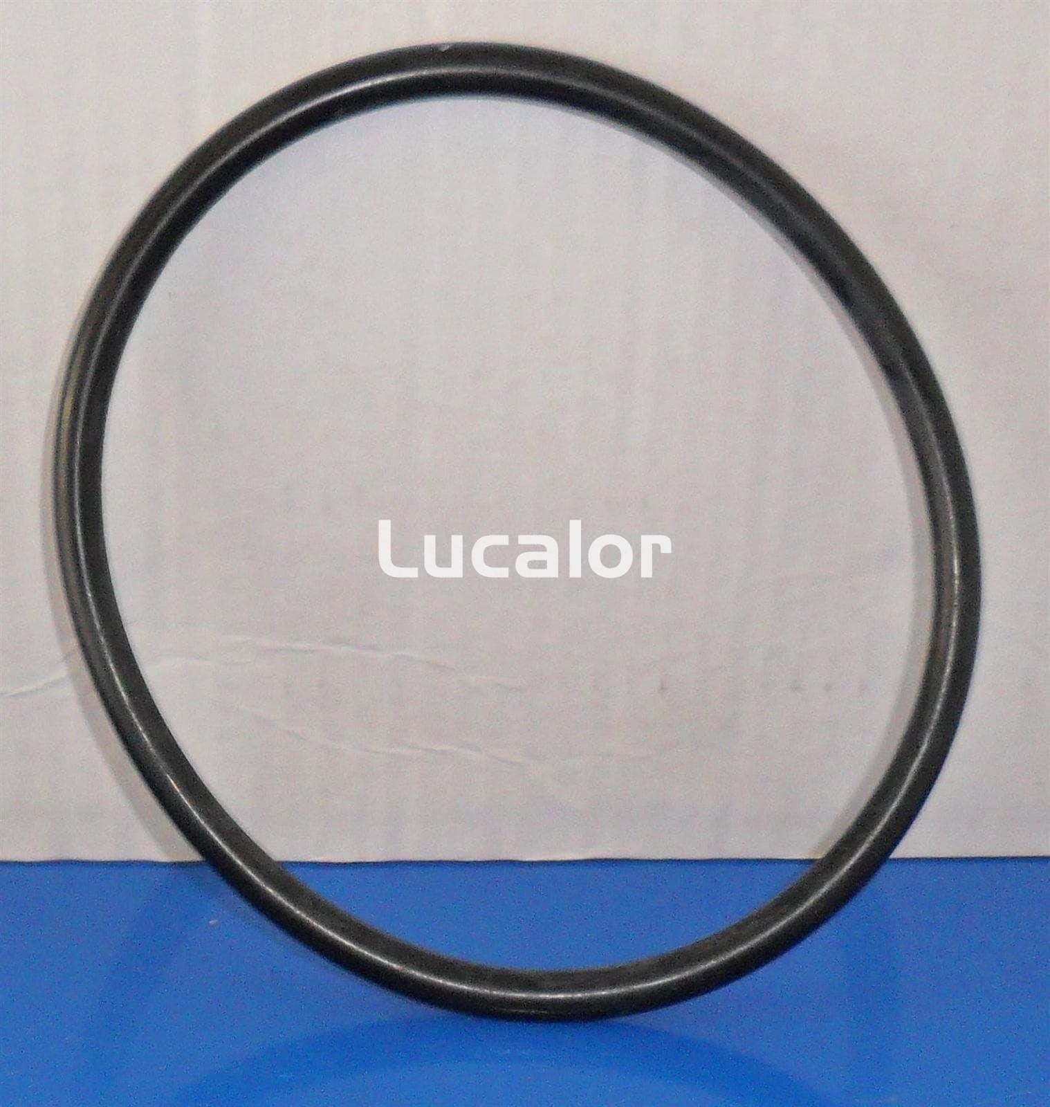 Junta tapa filtro Gre equaloón  modelo FAQ35 - Imagen 1