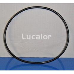 Junta tapa prefiltro bomba  bricobombazo de Qp - Imagen 1