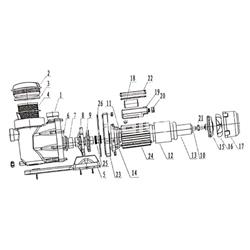 Junta tapa prefiltro bomba  bricobombazo de Qp - Imagen 2