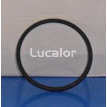 Junta tapa prefiltro bomba starpump de HAYWARD - Imagen 1