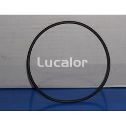 Junta tapa prefiltro depuradora modelo  monoblock - 400  de Qp - Imagen 1