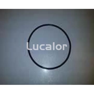 Junta tapa prefitro bomba depuradora AR 1400 - Imagen 1