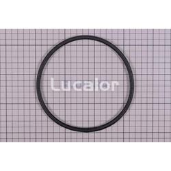 Junta torica  tapa D. 151,7 x 6.99  prefiltro bomba victoria plus de  Astral pool - Imagen 1