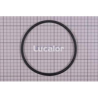 Junta torica  tapa D. 151,7 x 6.99  prefiltro bomba victoria plus de  Astral pool - Imagen 1