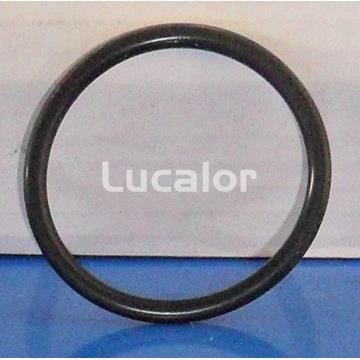 Junta tuerca loca de 1-1/2" y 2" enlace filtro coral de Qp - Imagen 1