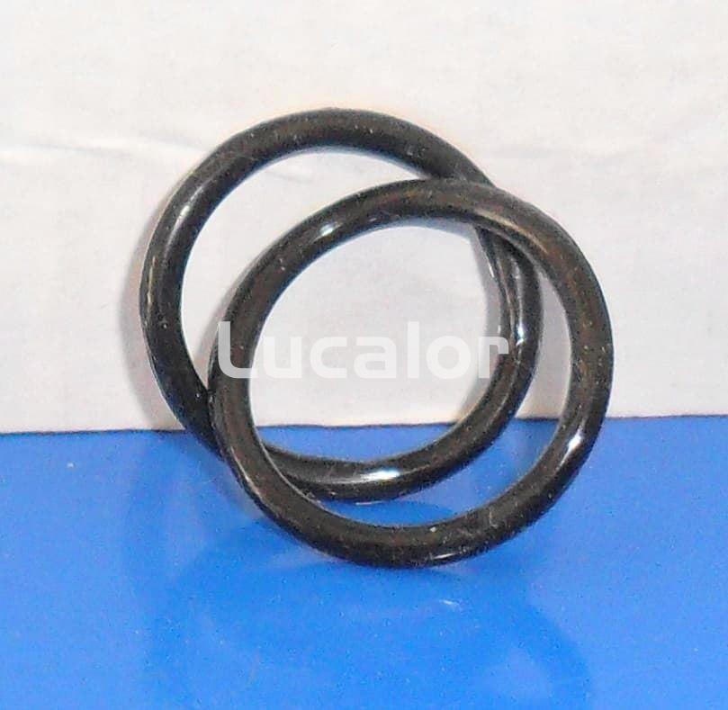 Juntas bomba  filtro Gre equaloón  modelo FAQ35 - Imagen 1