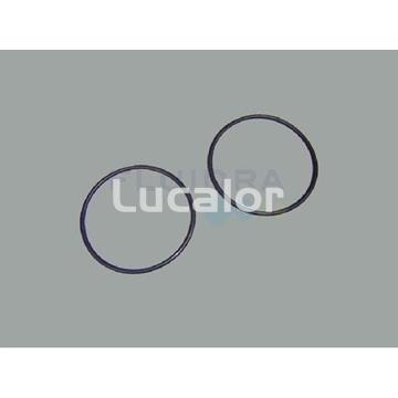 Juntas toricas enlace bomba compac de Astral Pool - Imagen 1