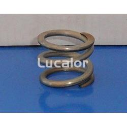 Muelle válvulas  lateral  de Qp - Imagen 1