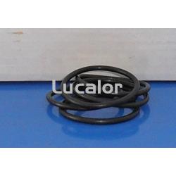 Set juntas depuradora modelo  monoblock 400 y 500 de Qp - Imagen 1