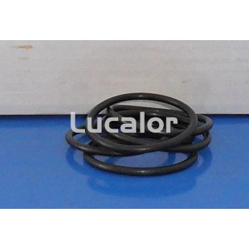 Set juntas  racores depuradora modelo monoblock 300 de Qp - Imagen 1