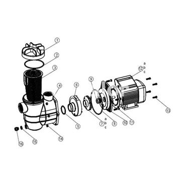 Turbina bomba depuradora modelo monoblock  300 y 400 - Imagen 2