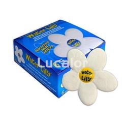 Water lily caja de 6 unidades - Imagen 1
