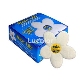 Water lily caja de 6 unidades - Imagen 1