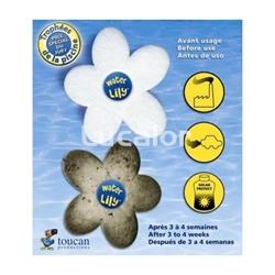 Water lily caja de 6 unidades - Imagen 2