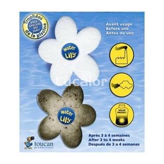 Water lily caja de 6 unidades - Imagen 2